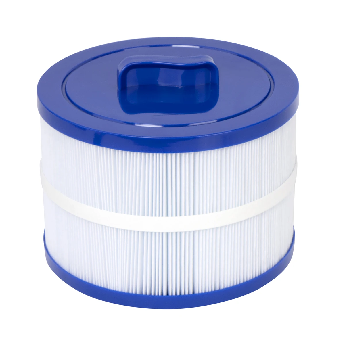 Spa & Wellness Dr Roy Sothers - 8CH-950 Spa Filtre Kartuşu Pleatco PBF35,